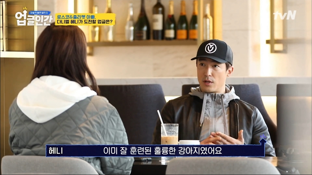 식용견 농장에서 구출된 다니엘 헤니의 강아지 로스코, 줄리엣 | 인스티즈