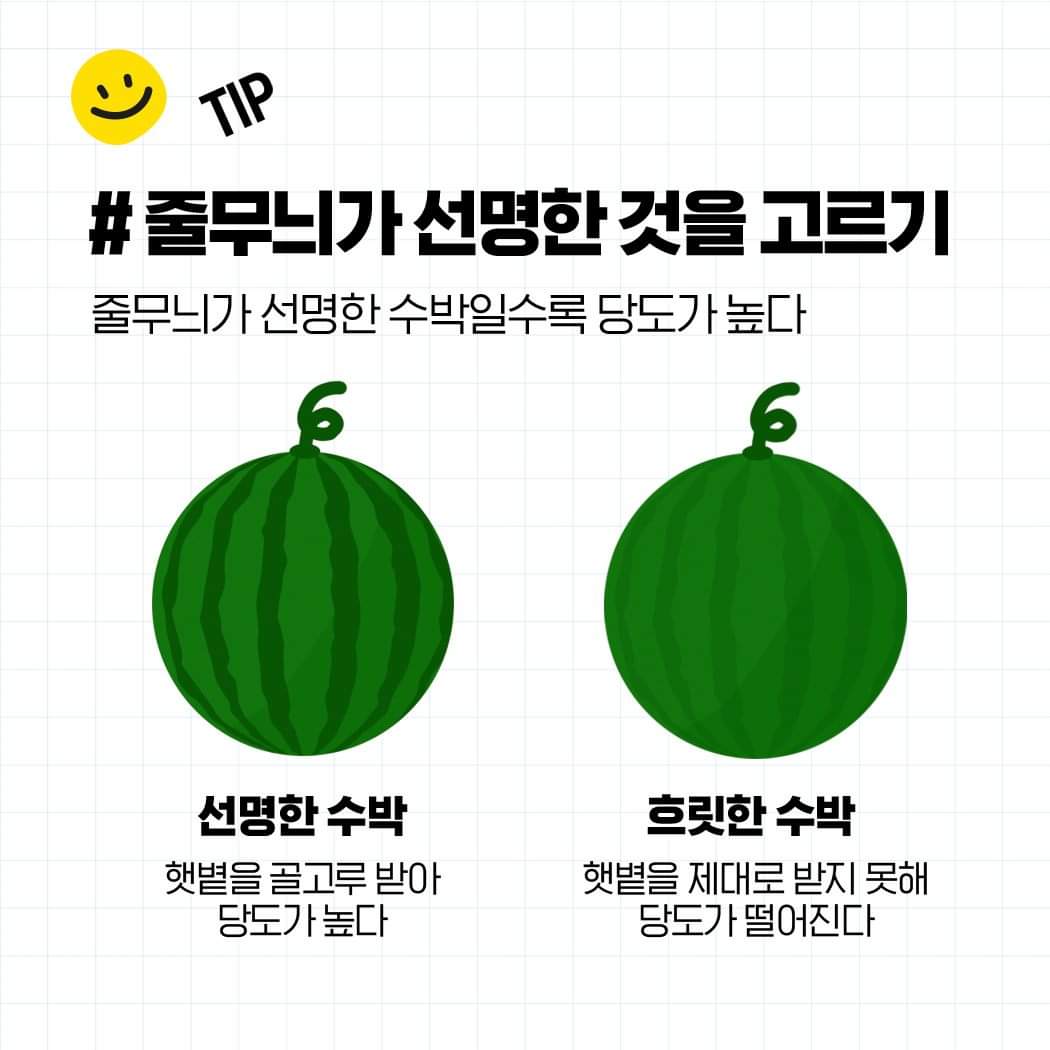 꿀수박 찾는 방법부터 보관 방법까지 알려드림 🍉 | 인스티즈
