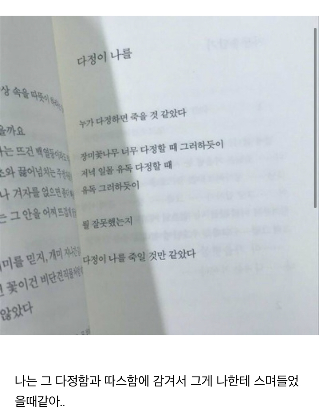 다정이 나를 죽일것만 같았다는 말 어떤 감정일지 말해보는 달글 | 인스티즈