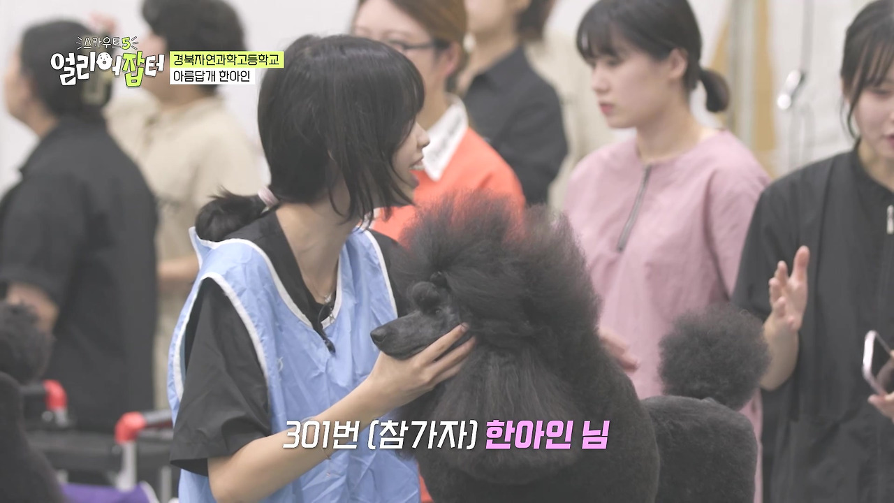 반려동물 키우는 사람들한테 도파민 터지게 만들었다는 한 고등학교 | 인스티즈