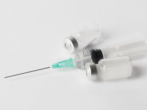 반려동물 : 언니 나 이제 약도 그만먹고 주사도 그만 맞고 싶어 ㅠ 너무 아프고 힘들어.. 언니 곁에서 있다가 하늘나라 가면 안돼? | 인스티즈