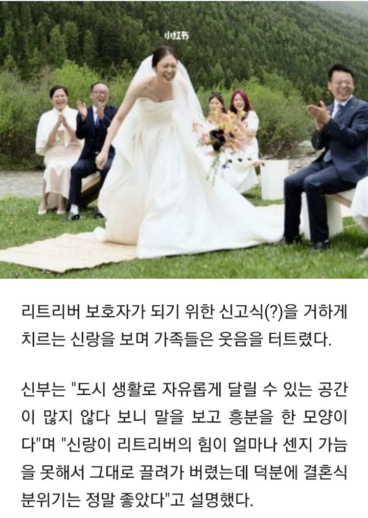 결혼식 도중 신랑 데리고 전력질주한 리트리버.."죽어도 못 보내!" | 인스티즈