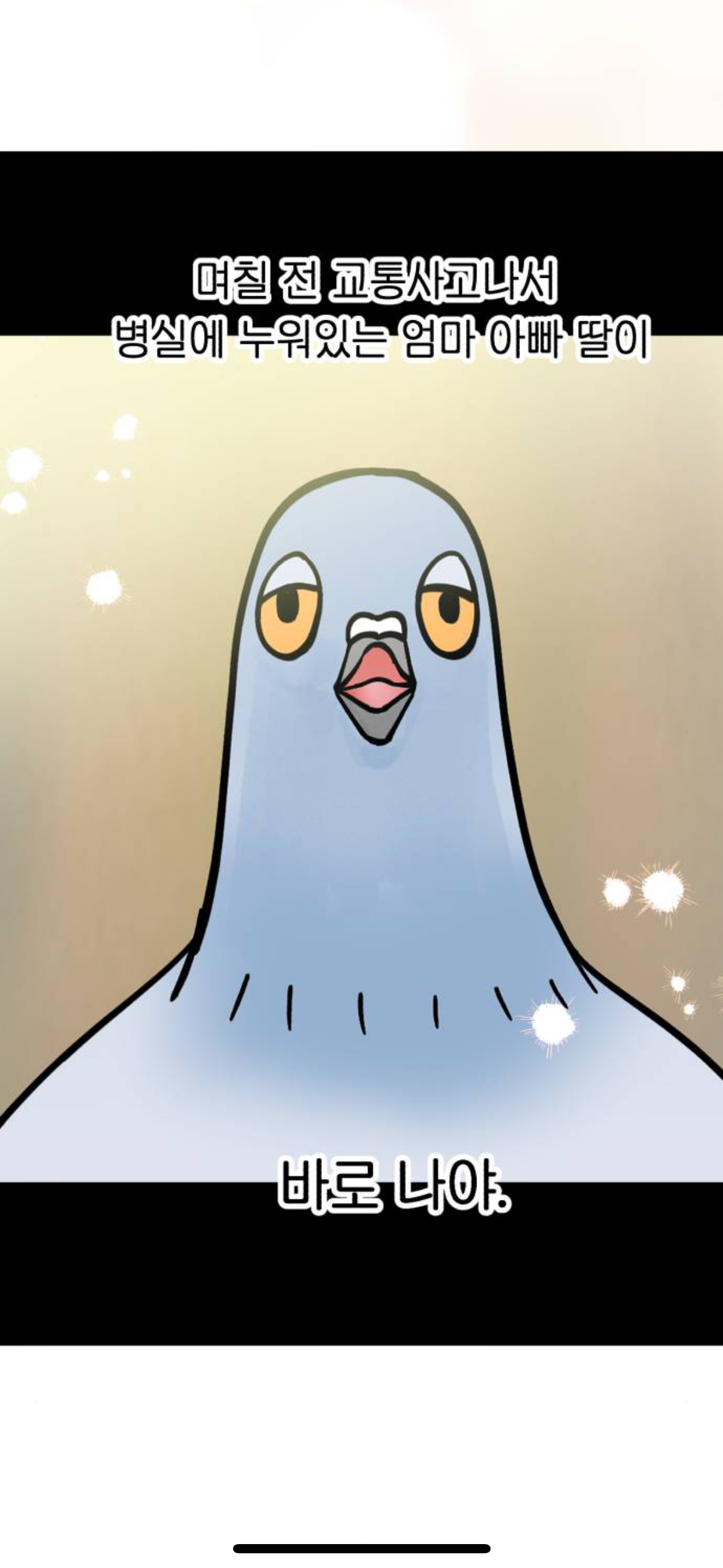 아니 내가 살다살다 비둘기를 볼려고 돈을쓰네 | 인스티즈