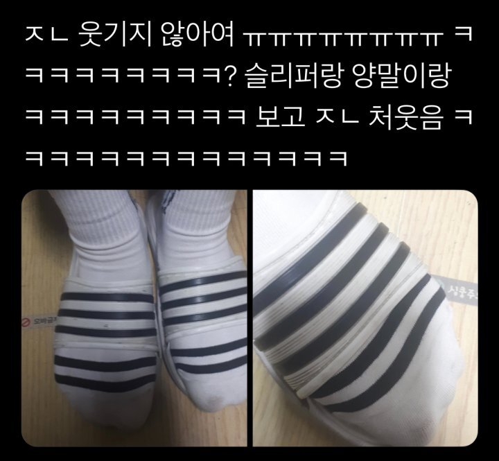 재밌고 귀여운 고전 트위터짤 모음집.jpg | 인스티즈