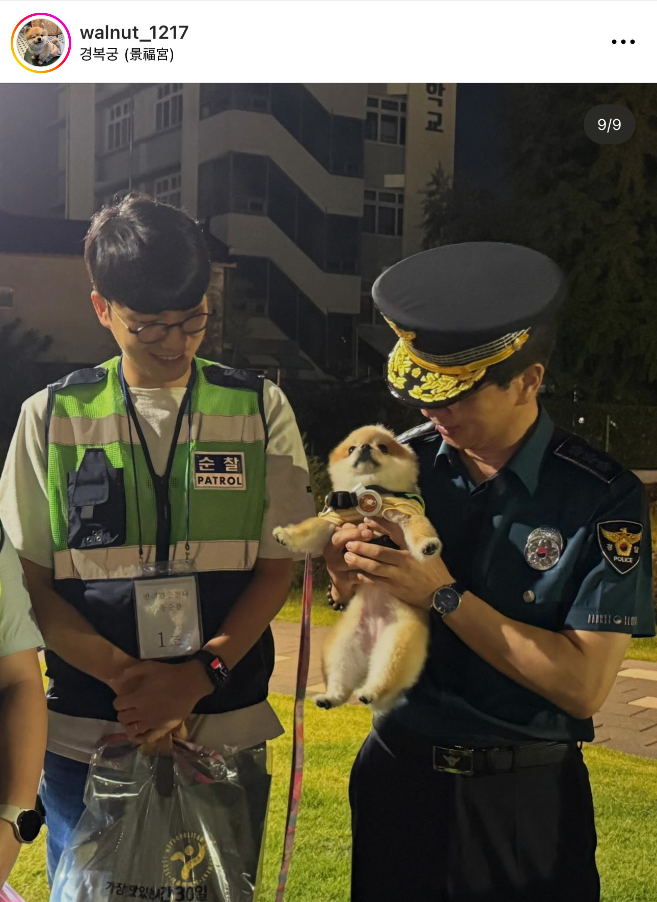 서울시 성동구 반려견 순찰대로 유명한 호두 순찰대 홍보 기여 및 활동 우수로 감사장 받음 | 인스티즈