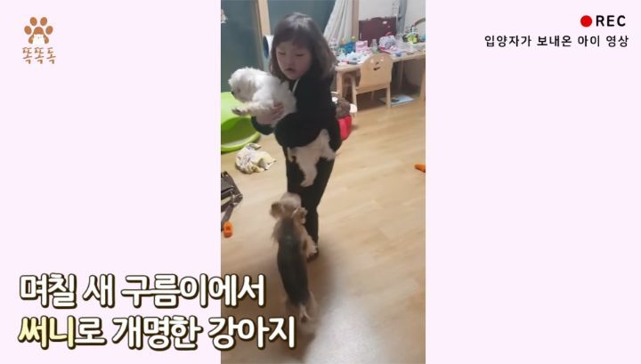 7살 아이 눈에 비친 유기견 보호소는? | 인스티즈