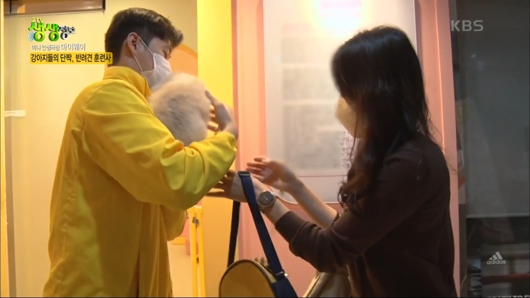 강아지 유치원.jpg | 인스티즈