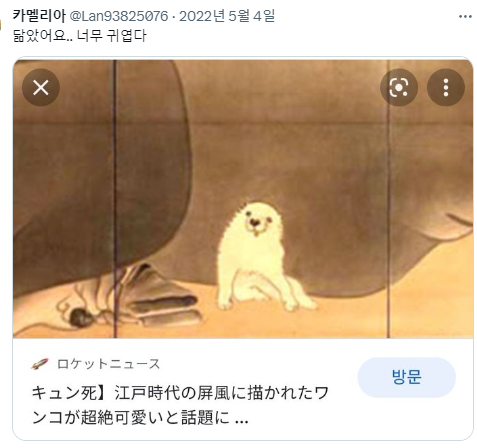 반가우면 민머리 되는 강쥐들 | 인스티즈