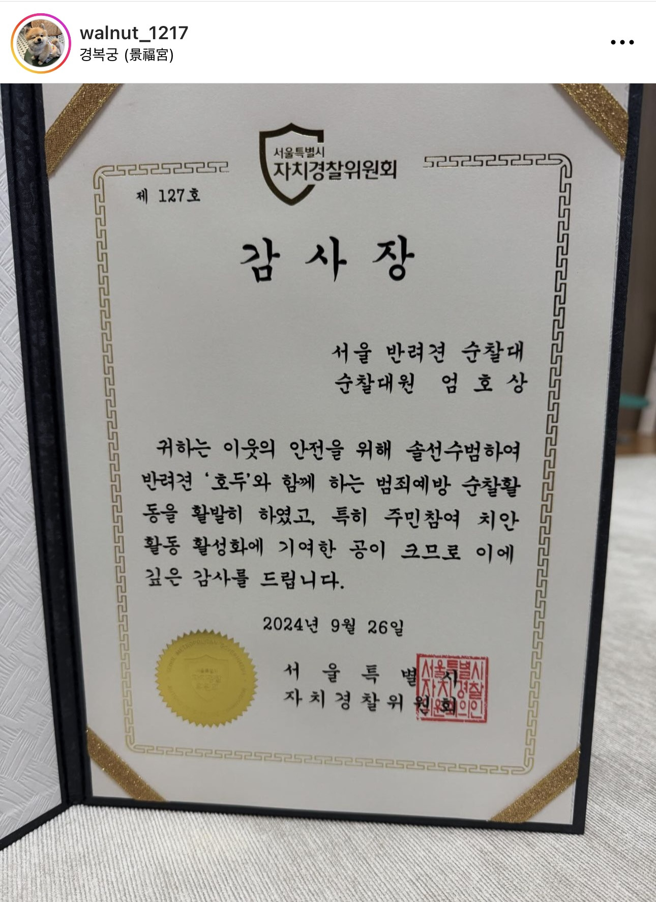 서울시 성동구 반려견 순찰대로 유명한 호두 순찰대 홍보 기여 및 활동 우수로 감사장 받음 | 인스티즈