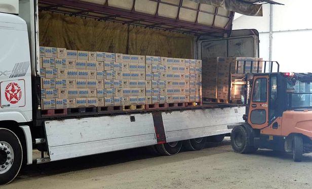 결국 기업들이 해결해주고 있는 잼버리 | 인스티즈