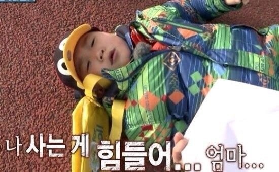 한때 짤방계의 대주주였던 아빠어디가 | 인스티즈