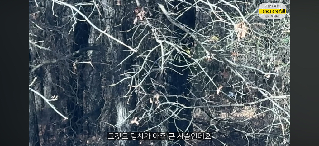 진짜 명견 같은 올리버쌤네 왕자 | 인스티즈