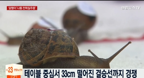 46b427149a1ba6f4cb24de3ab62a68cfb4cd2d0a