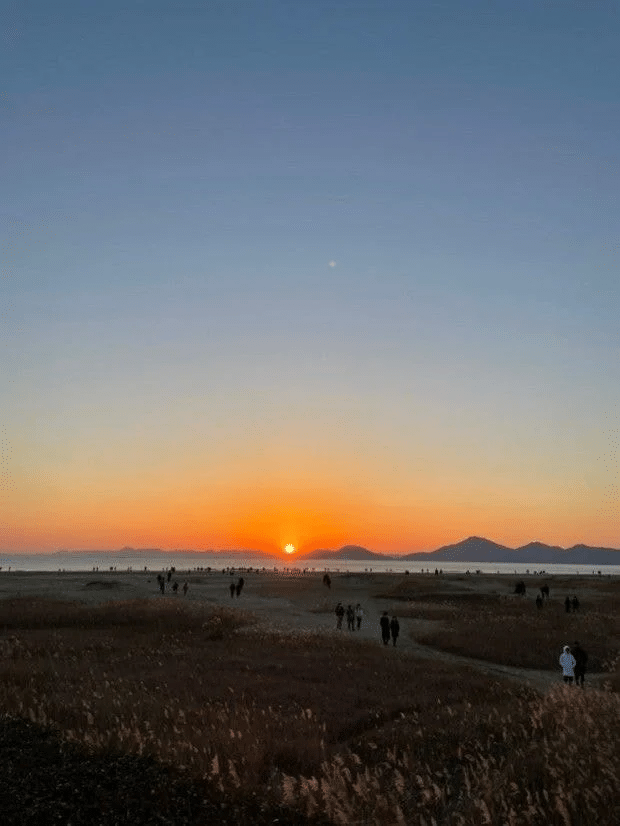 한국에서 가장 유니크한 분위기를 가지고 있는 해수욕장.jpg | 인스티즈