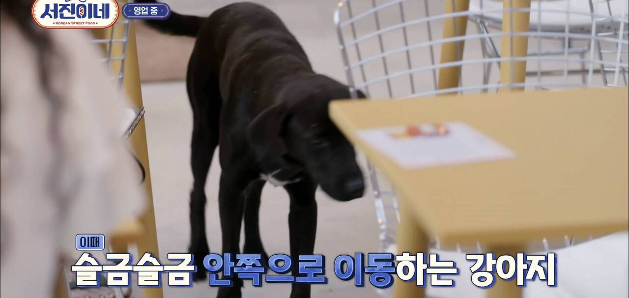 서진식당 이미지