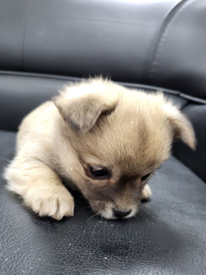 (공지라니... ++추가)새로생긴 회사 복지.. 미쳐서 도저히 일을 못하겠네.. (추가....)++추가 | 인스티즈