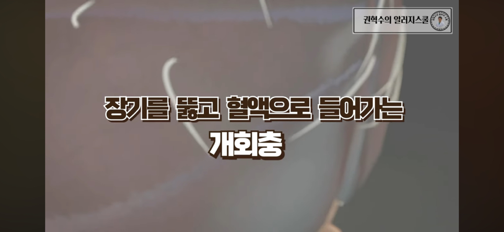 알레르기 내과의사가 절대 먹지않는 부위 | 인스티즈