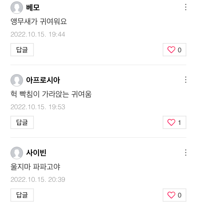 울고있는 파파고 앵무새 | 인스티즈
