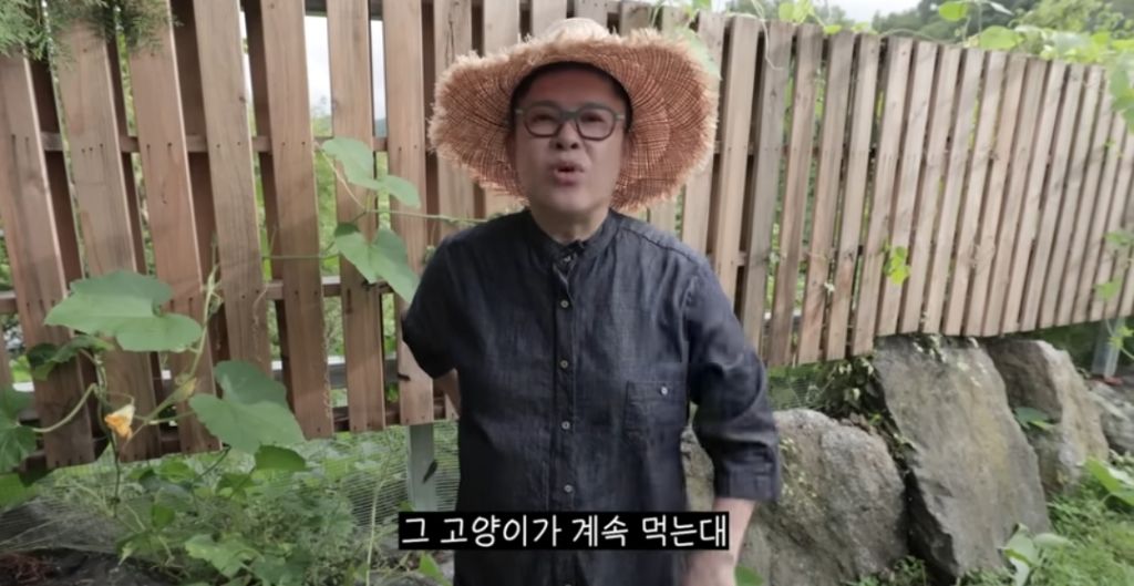 신발 물어 뜯은 고양이 찾아간 이영자 | 인스티즈