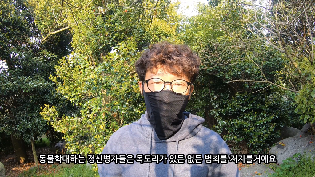 고양이가 자연생태계에 끼치는 심각한 영향(새 사체사진있음) | 인스티즈