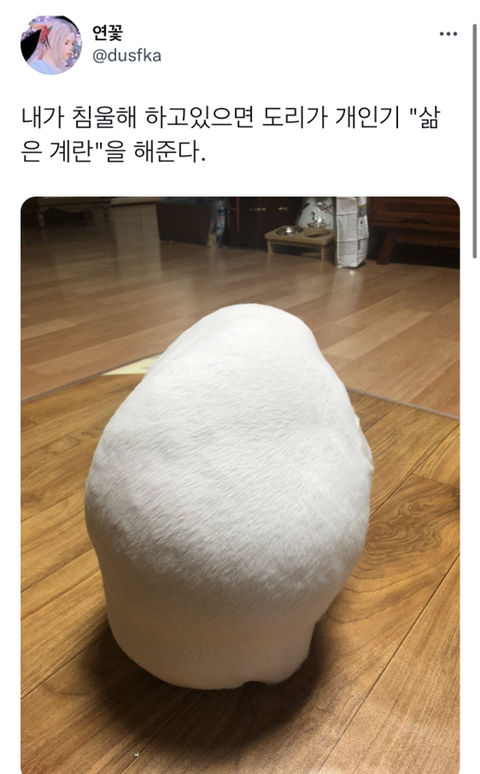 내가 침울해 하고 있으면 -가 -해준다 .twt | 인스티즈