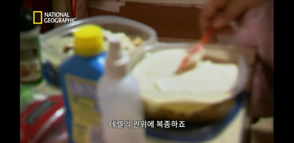 미국 여자교도소의 가족놀이 | 인스티즈
