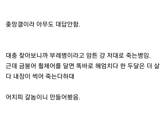 엄마집 금붕어들 보고가라 (이게 사랑이 아니면..) | 인스티즈