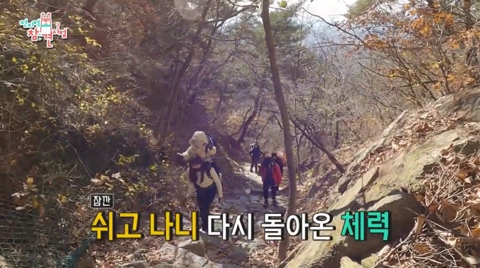 477defd27613da3c1e61c393532d3a70361fd5cd