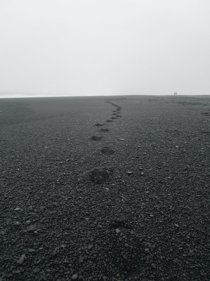 🎶 이소라 - track9 | 인스티즈