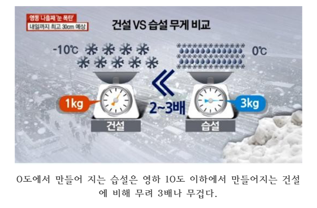오늘처럼 습기 가득한 눈이 더 위험한 이유 | 인스티즈