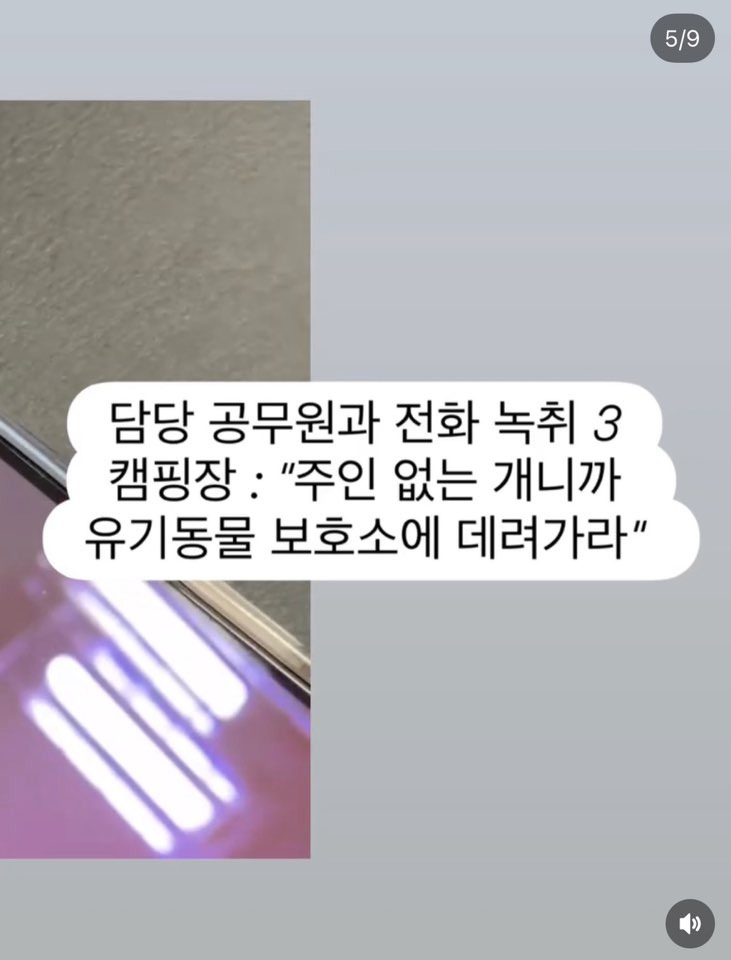 쩌리에서 논란이였던 계곡 방치견에 대한 캠핑장 피드백 | 인스티즈