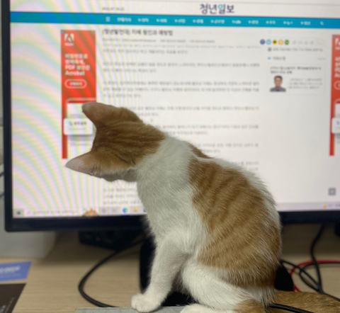 냥줍한지 한달 된 우리 고양이 보고가~!~! | 인스티즈