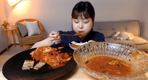 흔한 먹방 유튜버의 댕댕이 jpg | 인스티즈