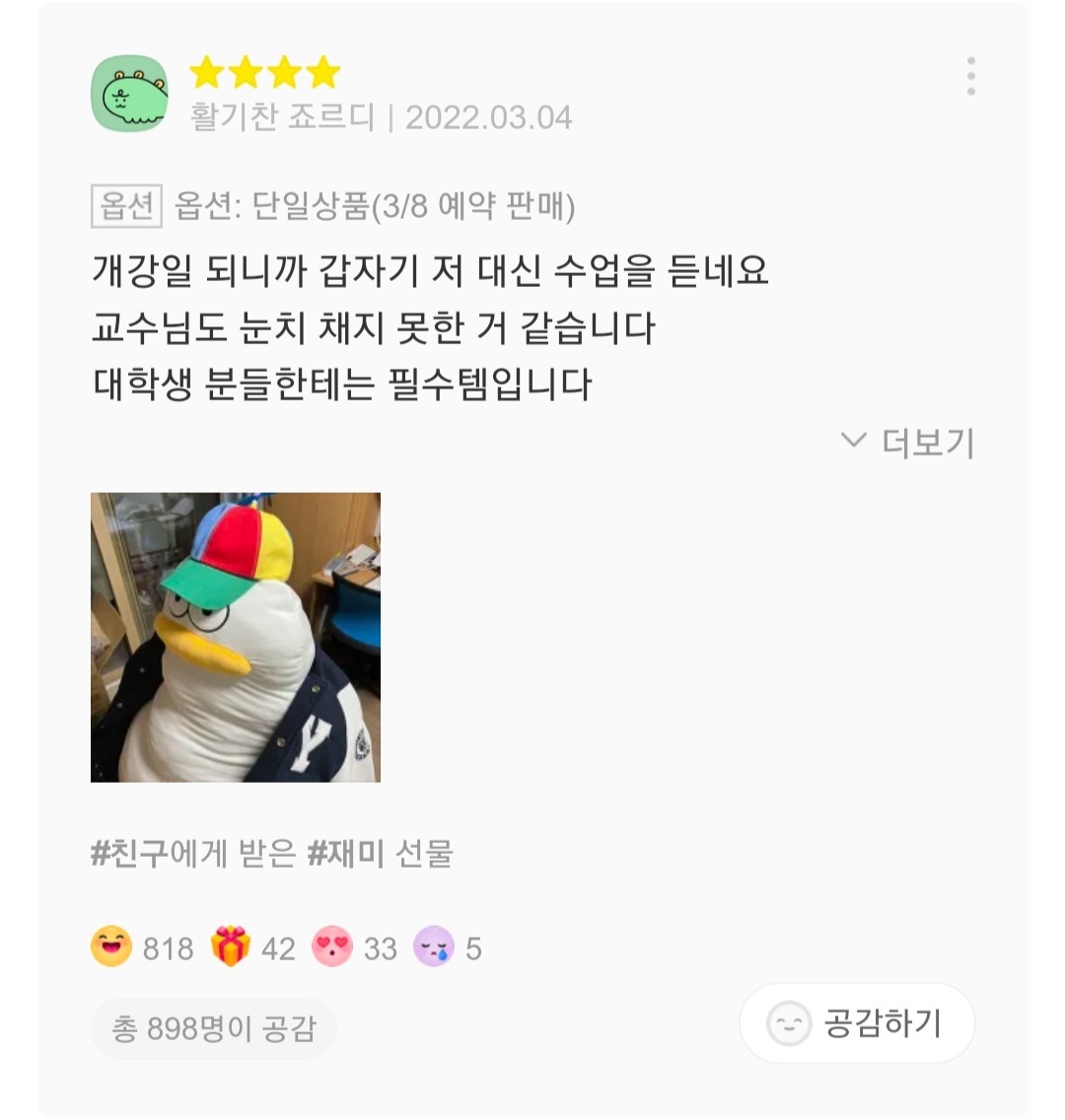 재치있는 오둥이 바디필로우 리뷰들 | 인스티즈