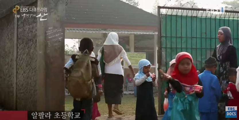 자극적 영상이 많아진 요즘, 안보면 후회하는 글 | 인스티즈