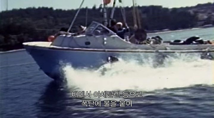 어느날 소방서에 고래가 조련사를 잡아 먹었다는 신고가 들어왔다 .jpg (스압주의) | 인스티즈