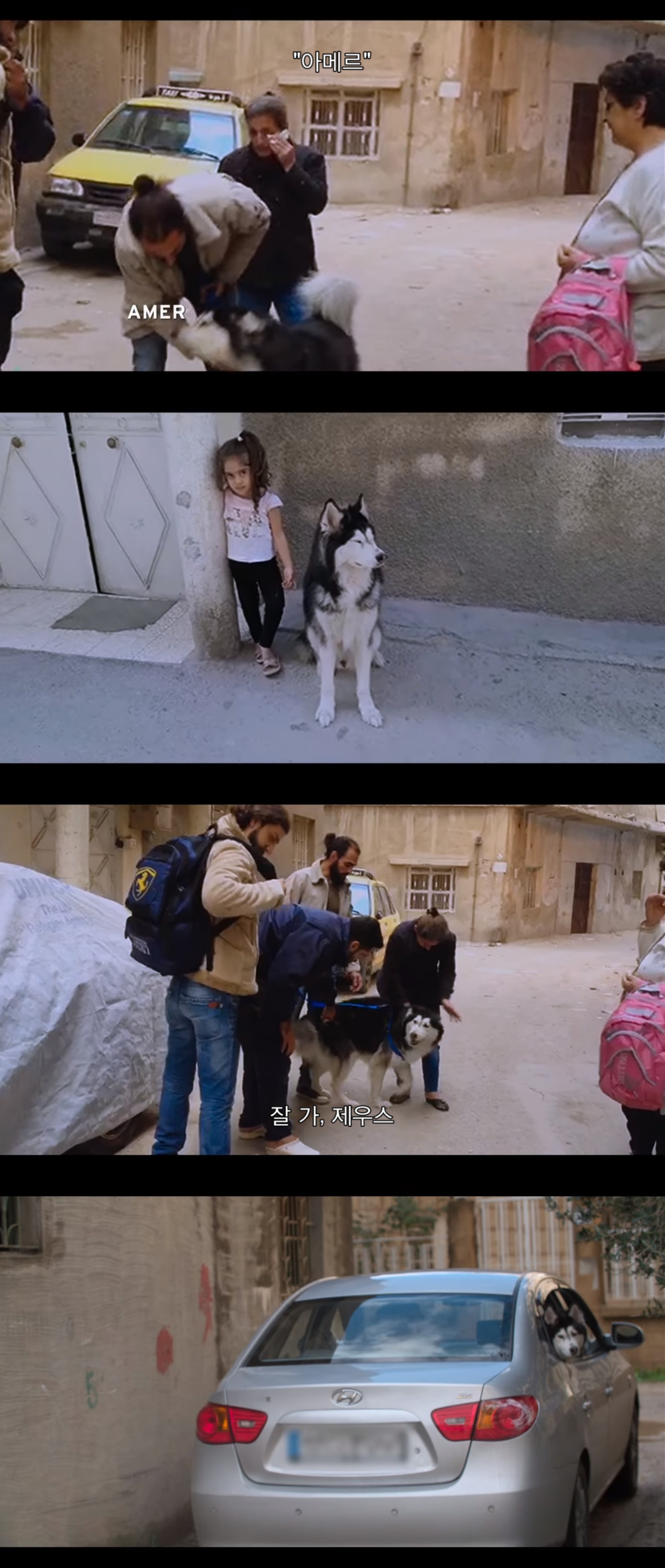 전쟁때문에 독일로 온 난민이라 시리아에 두고 온 내 강아지를 구조하려는데 갑자기 연락이 안된다 | 인스티즈