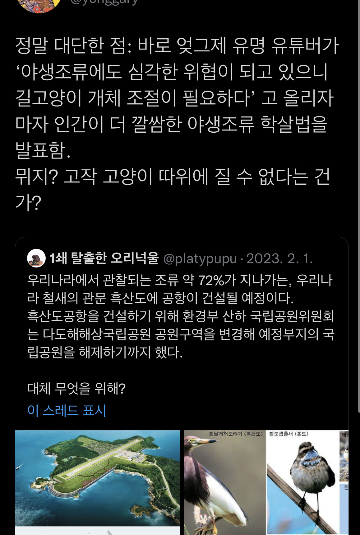 고양이가 새를 죽이니 안락사 해야한다는 와중에 인간이 더 깔끔한 야생조류 학살법을 발표 | 인스티즈