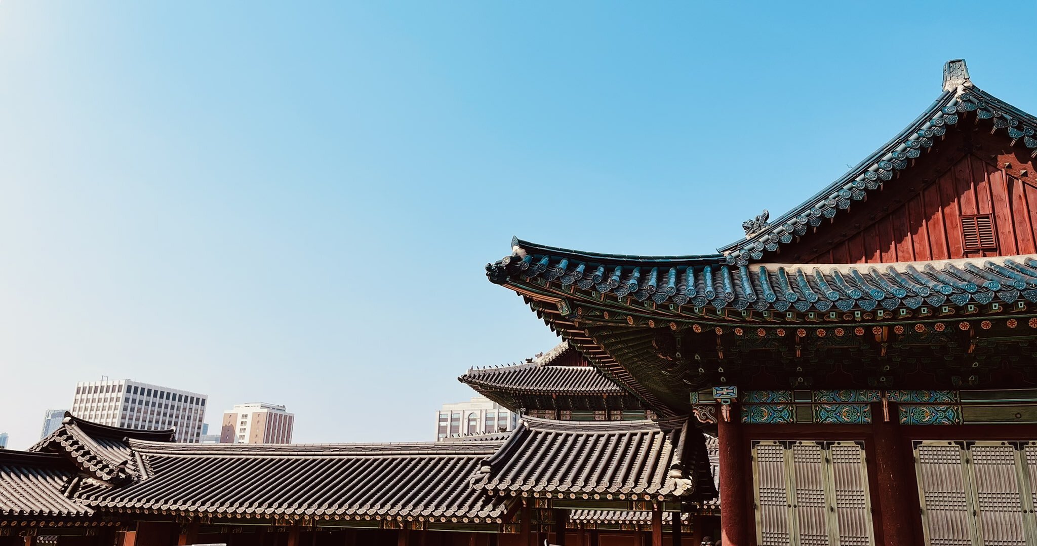 올해 가장 예뻤던 우리나라 문화재 사진 모음.twt | 인스티즈