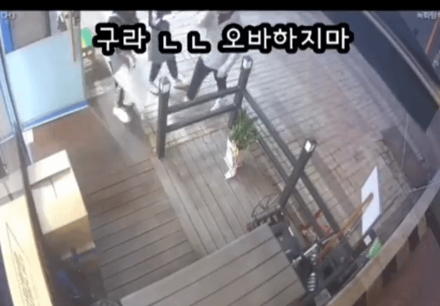 매장에 엄청 큰 벌레가 들어왔는데 직원들 반응이 너무 귀여움 | 인스티즈