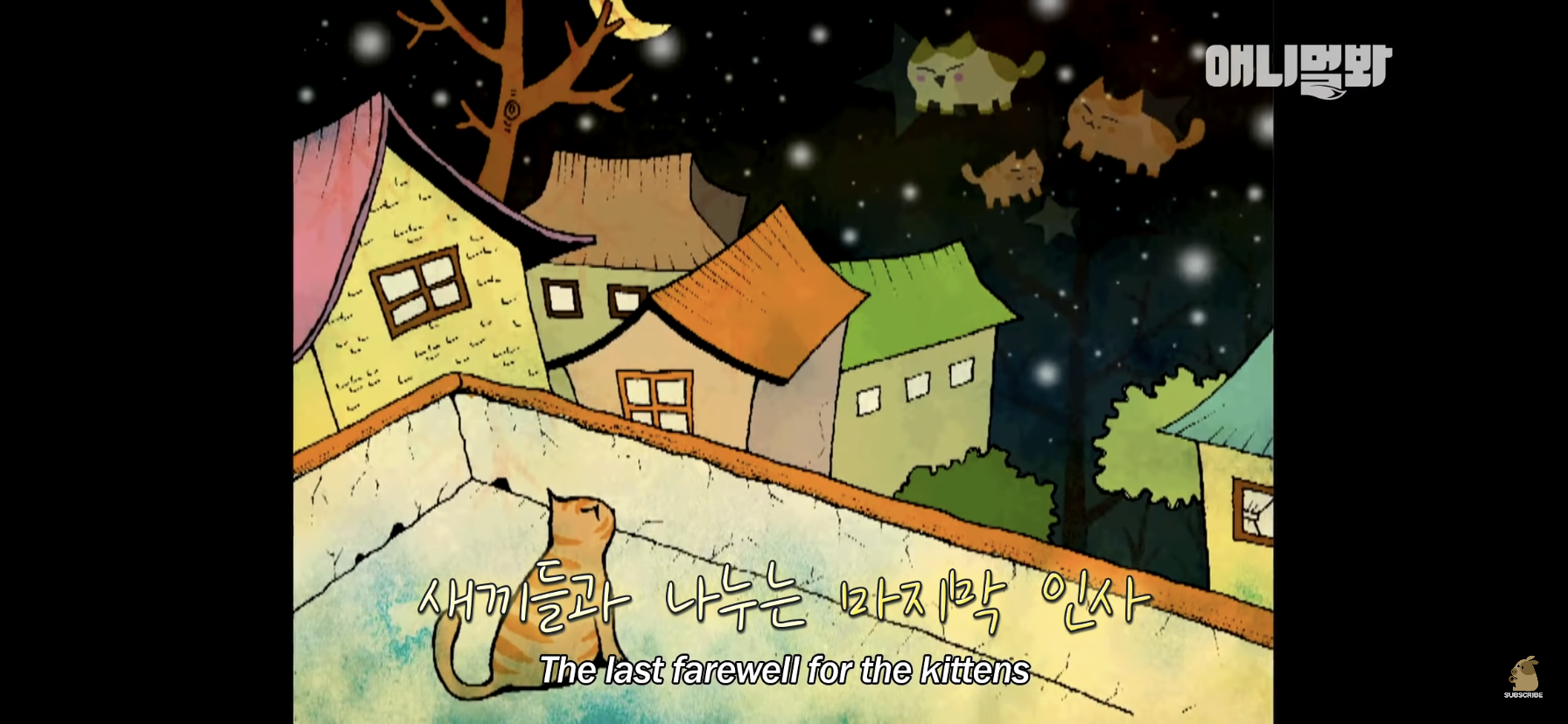 길고양이 목에 쪽지를 달자 생긴 영화같은 일 | 인스티즈