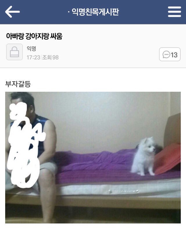 갤러리 짤털 짤털 짤털 짤털 짤털 짬털 (100장 깍 채움) | 인스티즈