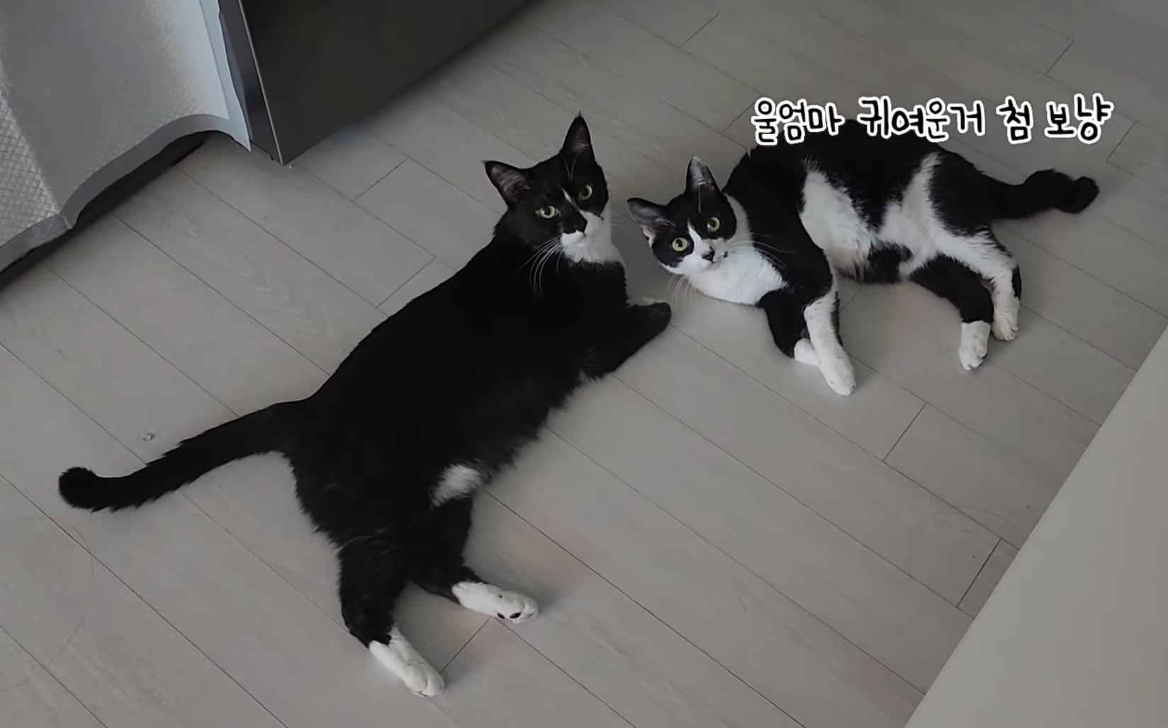 자기 아들 주려고 남의 딸 노는 거 뺏는 엄마;; | 인스티즈