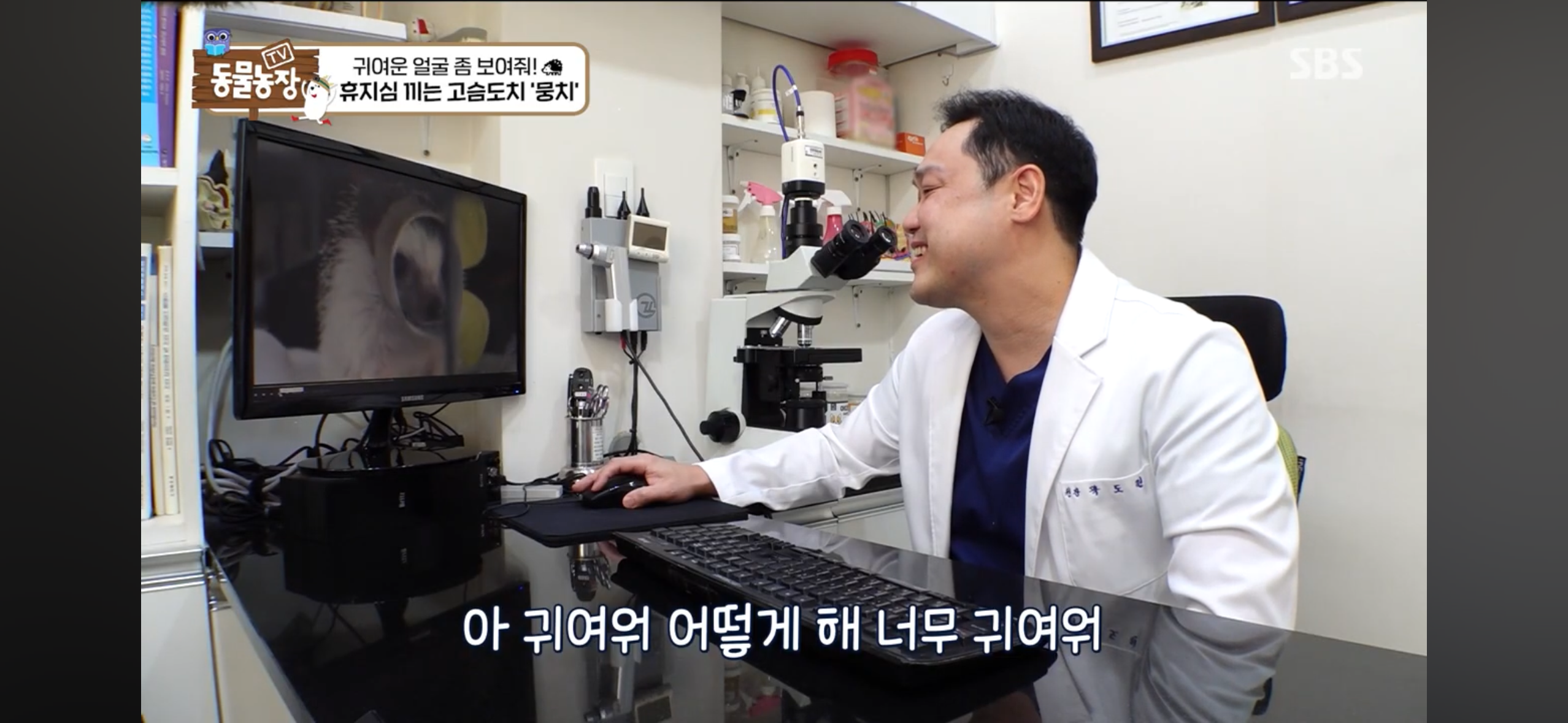 따봉고슴도치 휴지심 좋아도치 | 인스티즈