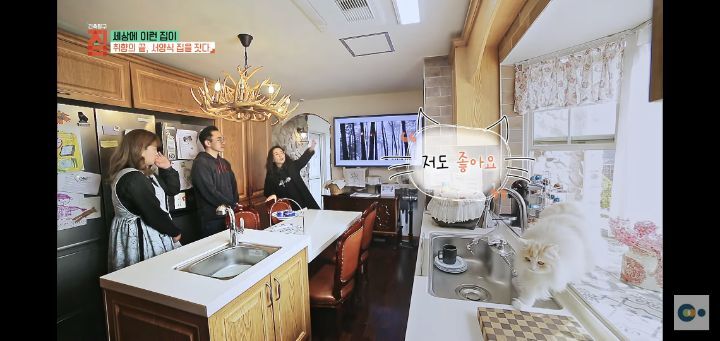 번아웃 후 해리포터 집을 지은 사랑스런 부부(무려 한국!!) | 인스티즈