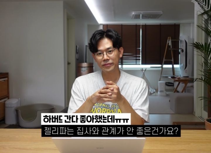 고양이 벽짚 챌린지는 진짜 지능과 관련 있을까? | 인스티즈