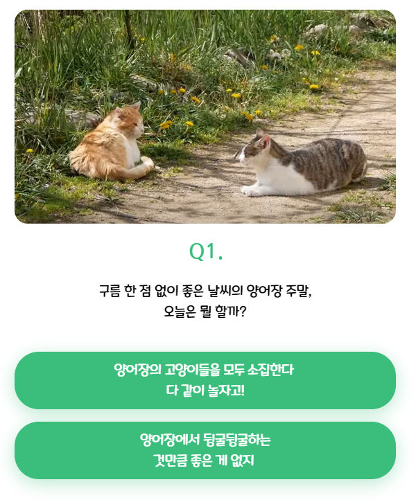 haha ha 양어장 고양이 mbti (냥bti) 테스트 | 인스티즈