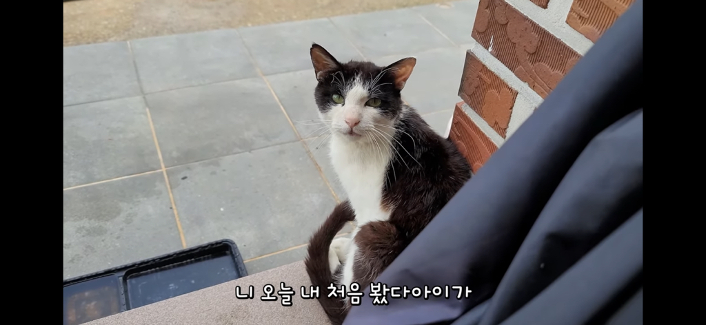 금은보화가 들어있는 박씨를 얼마나 받을지 궁금한 매탈남 | 인스티즈