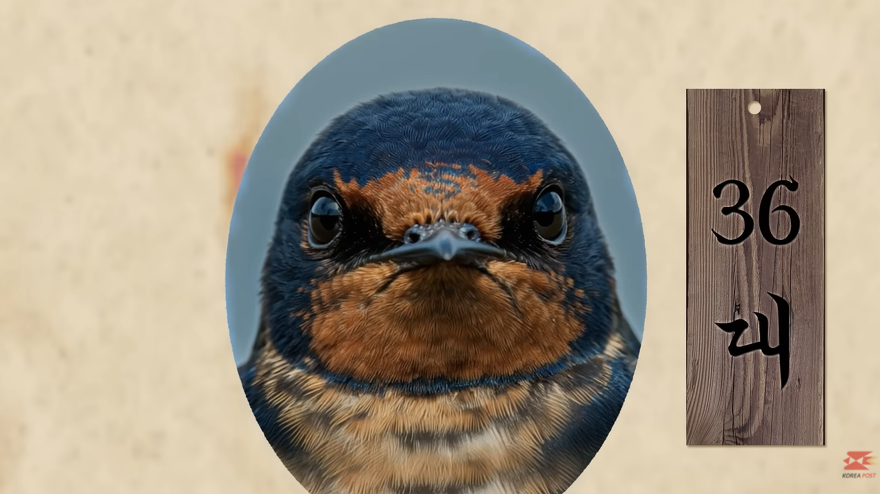 잘 어울리는 우체국 cf 모델 | 인스티즈