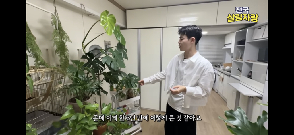 저비용 고효율로 행복해질 수 있는 집꾸미기 팁 | 인스티즈